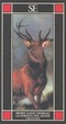 Cover of Le foreste del Maine