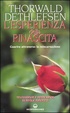 Cover of L'esperienza della rinascita