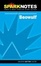Cover of "Spark Notes Beowulf"