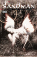 Cover of The Sandman n. 08