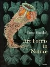 Art Forms in Nature The Prints of Ernst Haeckel