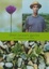 Cover of Derek Jarman's Garden