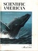 Cover of Scientific American Vol 252, No 3
