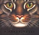 Cover of Caro gatto