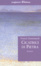 Cover of Cicatrici di pietra