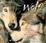 Cover of Wolf