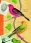 Cover of "Birding Journal"