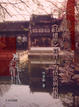 Cover of 不離情色道真如