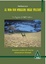 Cover of Al buio non parliamo delle stagioni