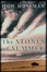 Cover of "The Stones Of Summer"