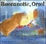 Cover of Buona notte, orso!