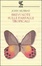 Cover of Brevi note sulle farfalle tropicali