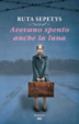 Cover of Avevano spento anche la luna