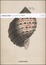 Cover of La parte in ombra