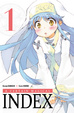 Cover of A Certain Magical Index, Tome 1