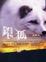 Cover of "銀狐"