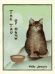 Cover of The Tao of Meow