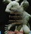 Cover of "The Monster of Florence"
