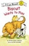 Cover of 'Biscuit Wants to Play'