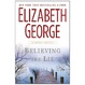 Cover of Believing the Lie