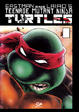 Cover of Teenage Mutant Ninja Turtles vol. 2