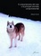Cover of Il comportamento del cane e le principali anomalie comportamentali