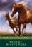 Cover of "Stormy, Misty's Foal"