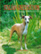 Cover of Italian Greyhounds Today