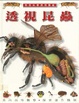 Cover of 透視昆蟲