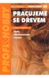Cover of Pracujeme se dřevem