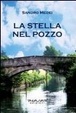 Cover of La stella nel pozzo
