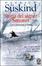 Cover of Storia del signor Sommer