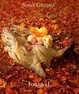 Cover of Down in the Garden Journal Woodland Fairy