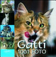 Cover of Gatti