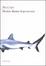 Cover of Mentre dorme il pescecane