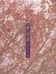 Cover of 擊壤歌