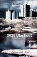 Cover of 2025 blackout. Una storia possibile