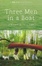 Cover of Three Men in a Boat
