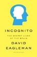 Cover of Incognito