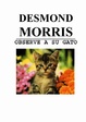 Cover of Observe a su gato