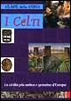 Cover of I celti
