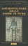 Cover of Antropologia delle anime in pena