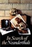 Cover of "In Search of the Neanderthals"