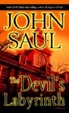 Cover of The Devil's Labyrinth