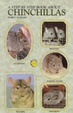 Cover of Step-By-Step Book About Chinchillas