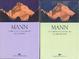 Cover of La montagna incantata