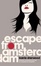 Cover of Escape from Amsterdam