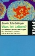 Cover of Was ist Leben? Die lebende Zelle mit den Augen des Physikers betrachtet.