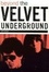 Cover of Beyond the Velvet Underground