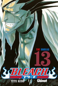 Image of Bleach, nº 13
